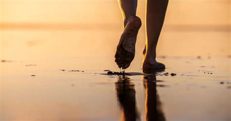 Top 10 Summer experiences South Island .